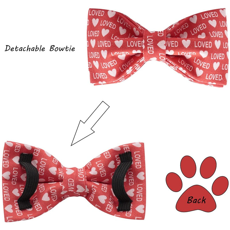 Red Valentine's Day Bow Tie Dog Collar with Hearts and Love Print