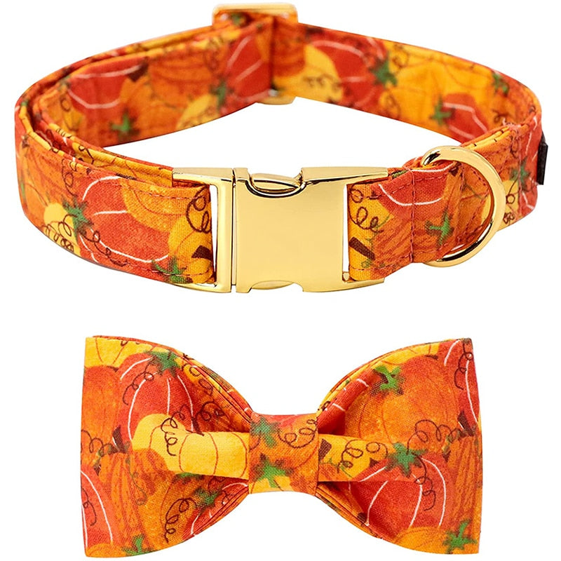 |14:10#collar and bow;5:100014066|14:10#collar and bow;5:100014064|14:10#collar and bow;5:361386|14:10#collar and bow;5:361385|14:10#collar and bow;5:100014065|14:10#collar and bow;5:4181