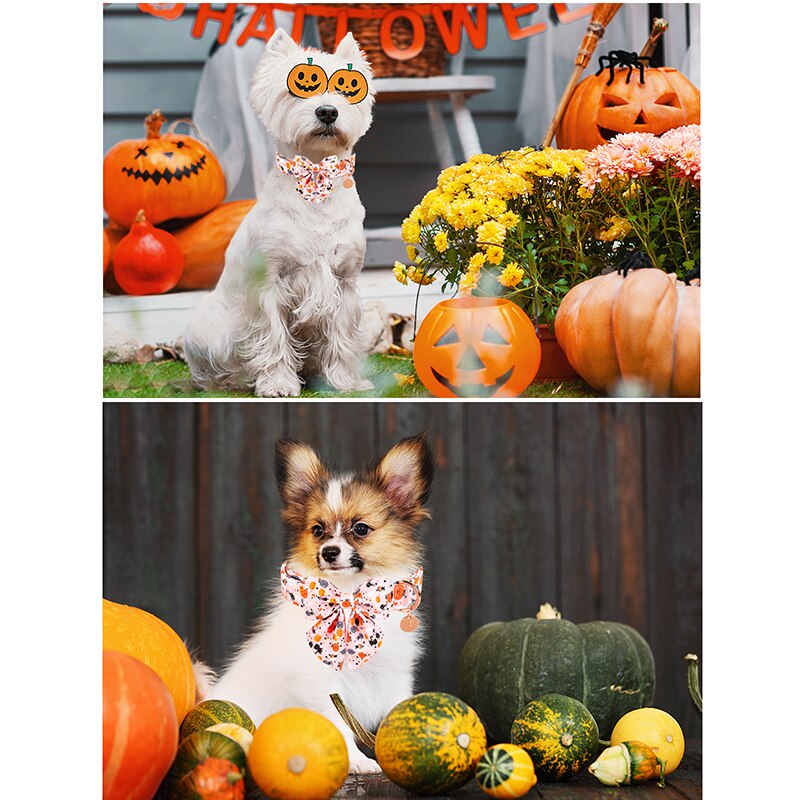 White Fall Dog Bow Tie Collar with Halloween Print