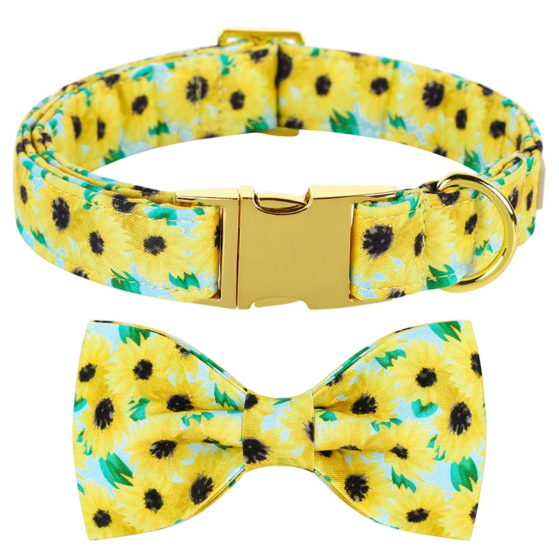 |14:10#collar and bowtie;5:100014066|14:10#collar and bowtie;5:100014064|14:10#collar and bowtie;5:361386|14:10#collar and bowtie;5:361385|14:10#collar and bowtie;5:100014065|14:10#collar and bowtie;5:4181