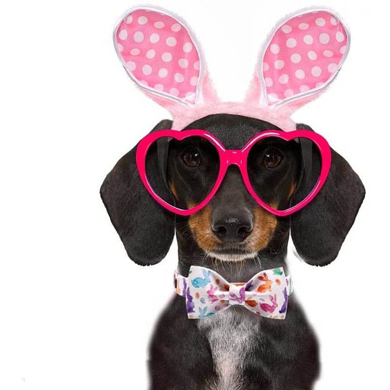 White Easter Bow Tie Dog Collar with Bunny Print