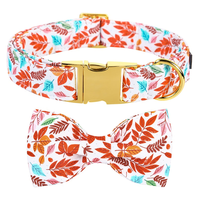 |14:10#collar and bowtie;5:100014066|14:10#collar and bowtie;5:100014064|14:10#collar and bowtie;5:361386|14:10#collar and bowtie;5:361385|14:10#collar and bowtie;5:100014065|14:10#collar and bowtie;5:4181