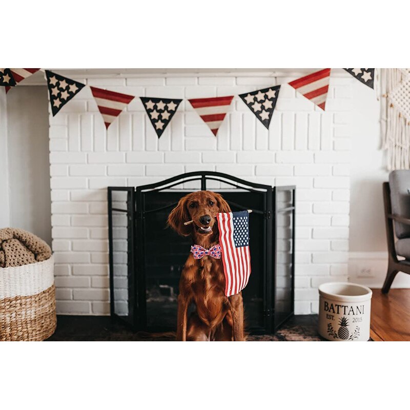 Fourth of July Dog Bow Tie Collars